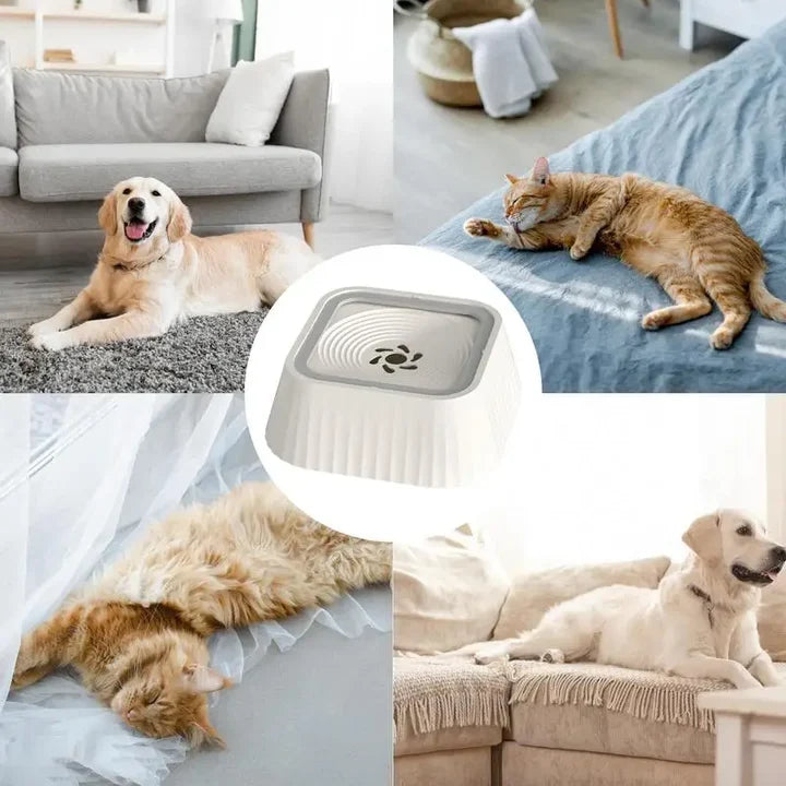 bebedero anti derrame  PARA MASCOTAS 🐶🐱